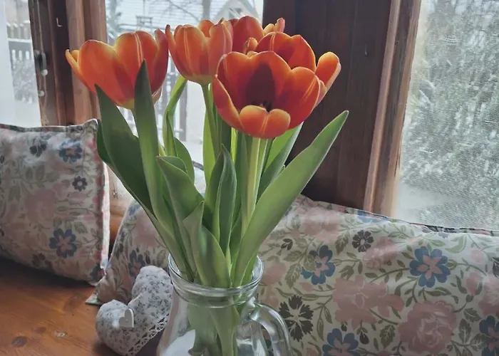 Semesterbostad Chaloupka Rozmaryna